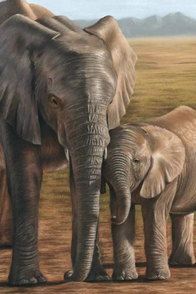 Fine Art Safari: Elephant And Calf by Richard Macwee