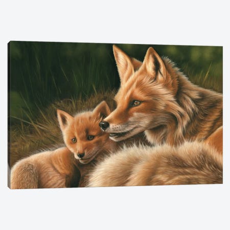 Fox And Cub Canvas Print #RMC15} by Richard Macwee Art Print