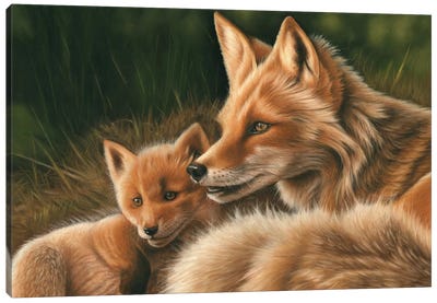Fox And Cub Canvas Art Print - Richard Macwee