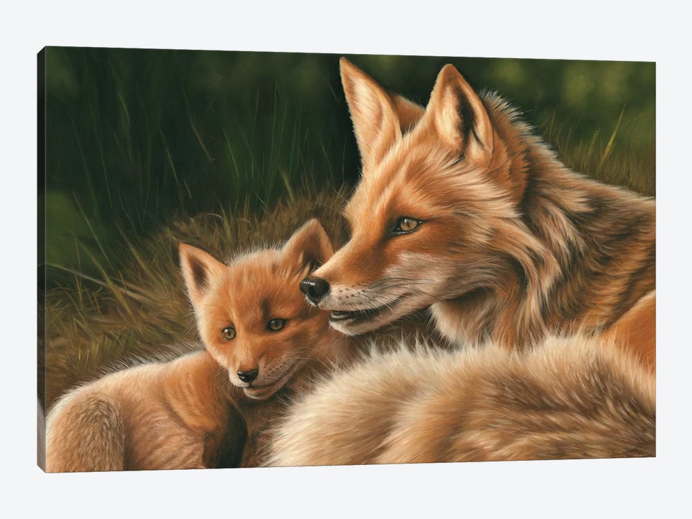 Fox And Cub by Richard Macwee 1-piece Canvas Wall Art