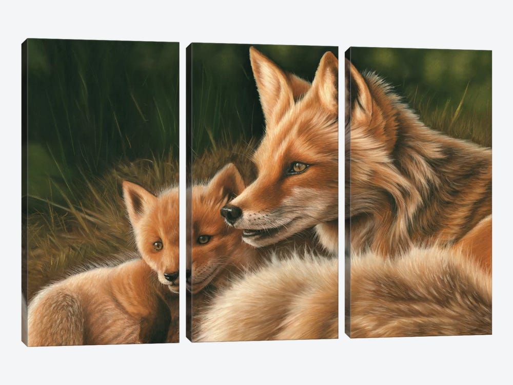Fox And Cub by Richard Macwee 3-piece Canvas Artwork