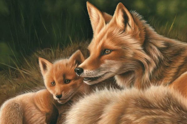 Foxes: Fox And Cub by Richard Macwee