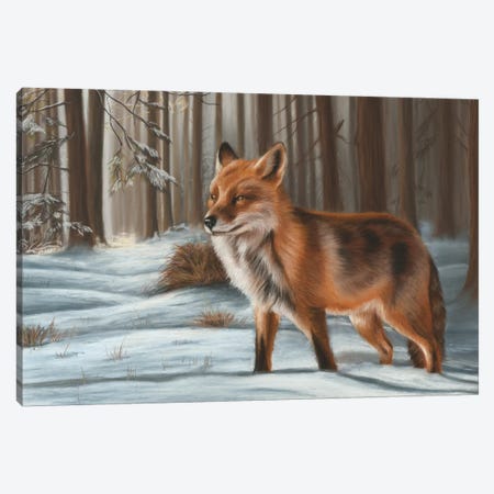 Fox In Snow Canvas Print #RMC17} by Richard Macwee Art Print