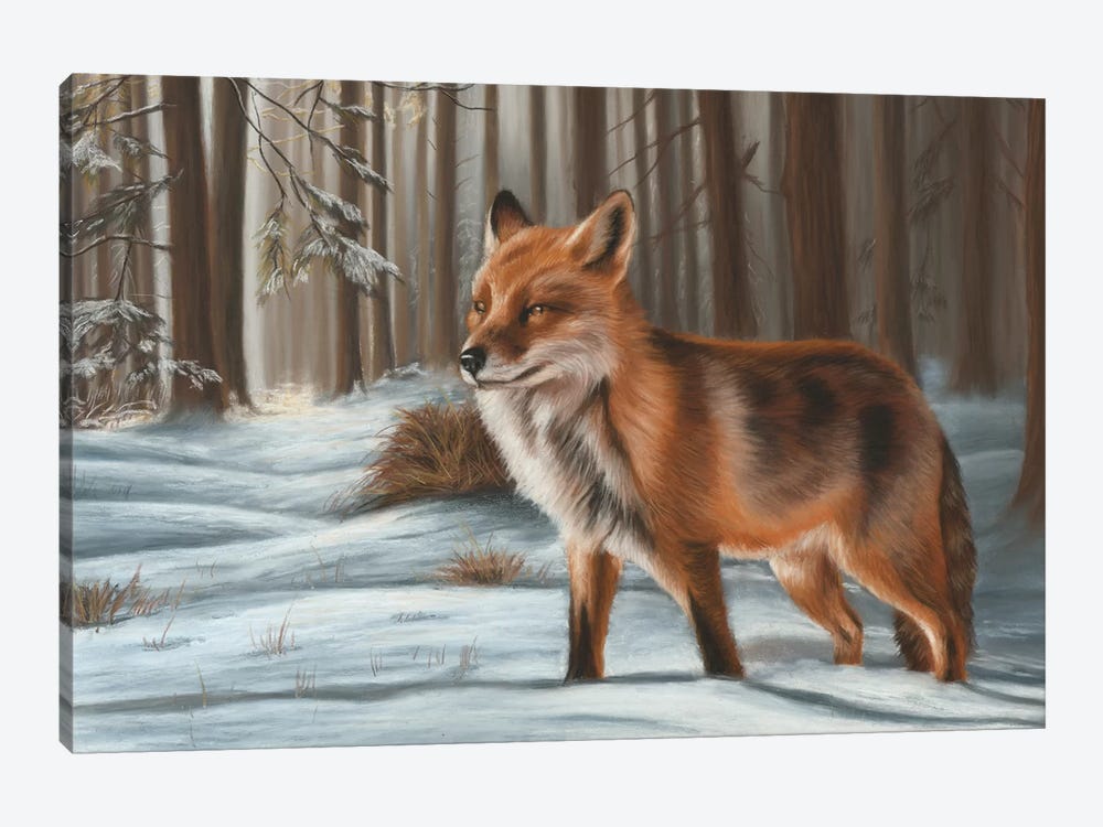 Fox In Snow by Richard Macwee 1-piece Canvas Artwork