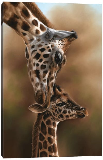 Giraffes Canvas Art Print - Hyper-Realistic & Detailed Drawings