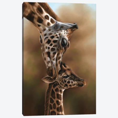 Giraffes Canvas Print #RMC18} by Richard Macwee Canvas Art