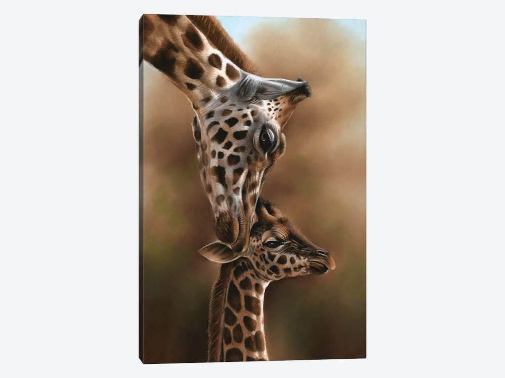 Giraffes by Richard Macwee 1-piece Canvas Art Print