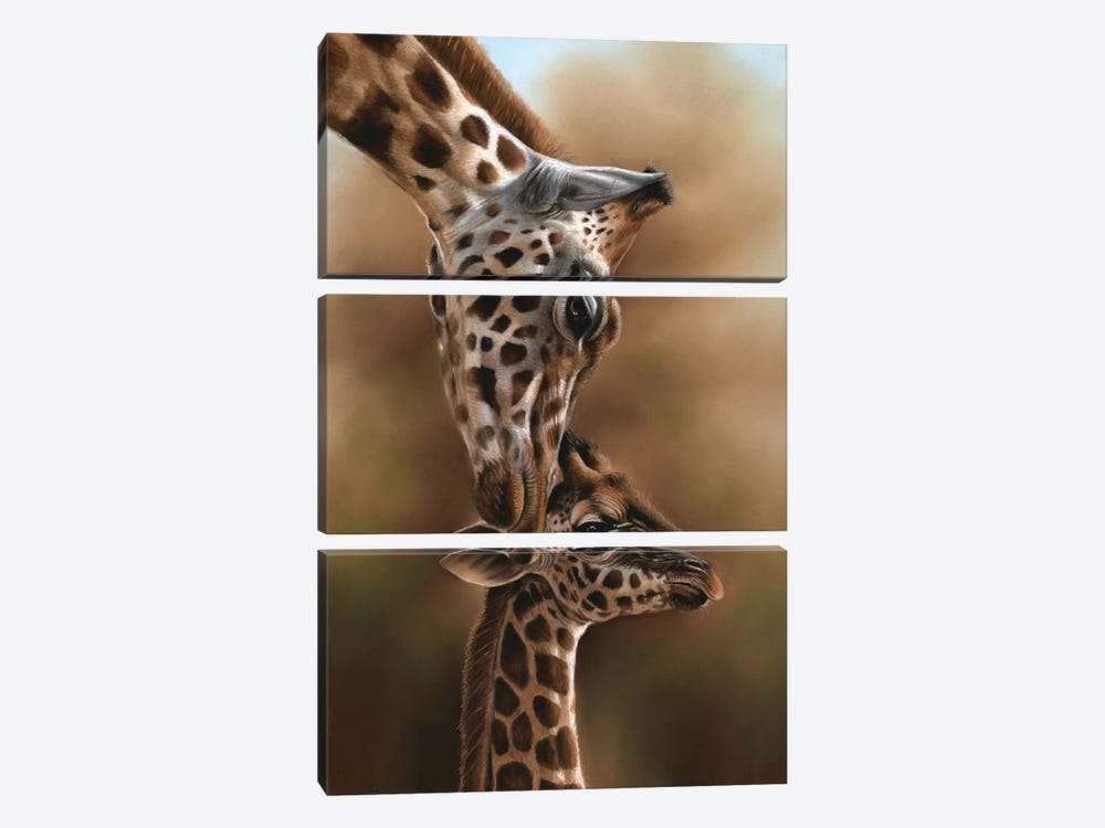 Giraffes by Richard Macwee 3-piece Art Print