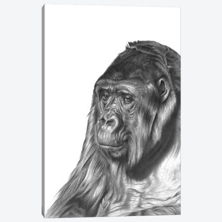 Gorilla Canvas Print #RMC19} by Richard Macwee Canvas Art