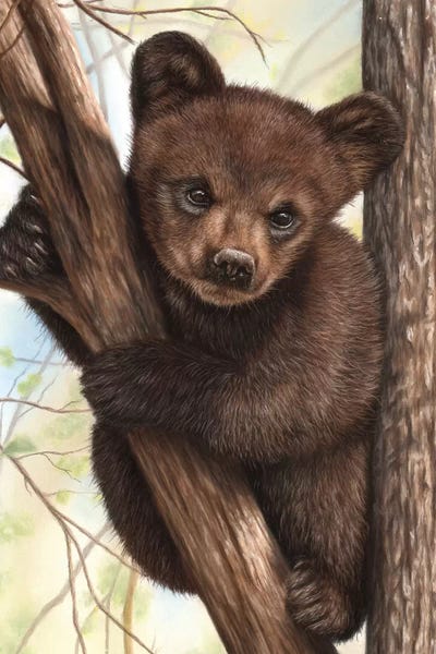 Baby Animals: Bear Cub by Richard Macwee