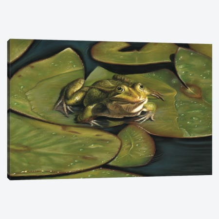 Green Frog Canvas Print #RMC20} by Richard Macwee Canvas Print