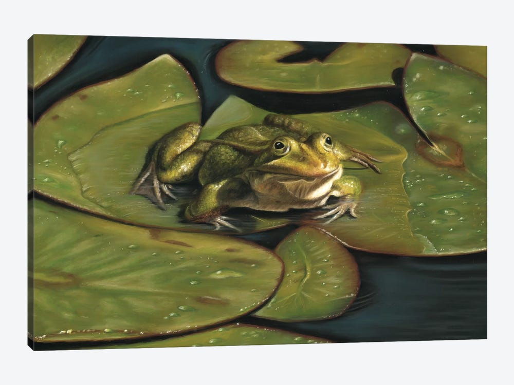 Green Frog by Richard Macwee 1-piece Canvas Artwork