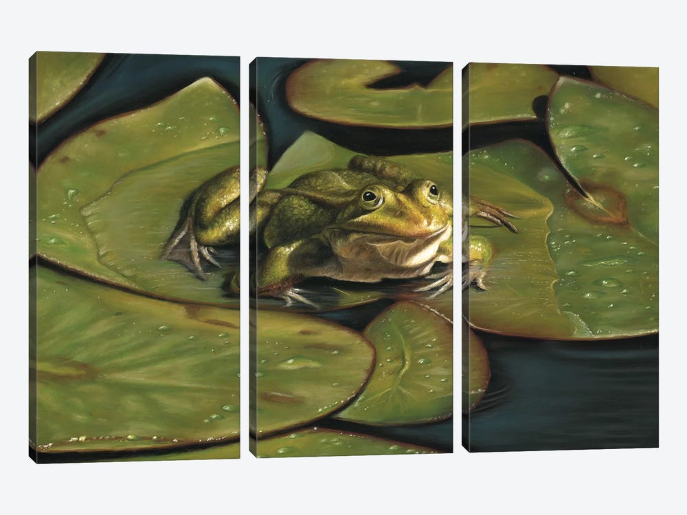 Green Frog by Richard Macwee 3-piece Canvas Artwork