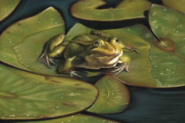Richard Macwee: Green Frog by Richard Macwee