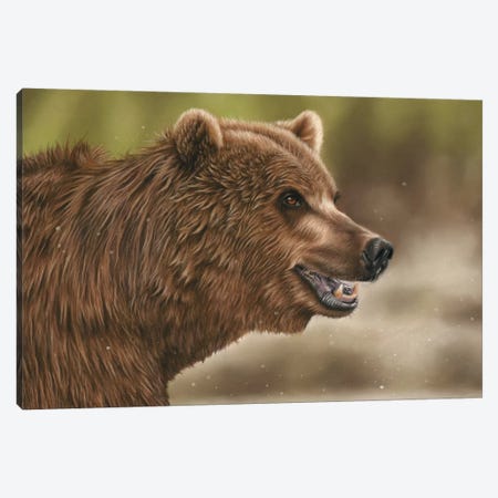 Grizzly Bear Canvas Print #RMC21} by Richard Macwee Canvas Art Print