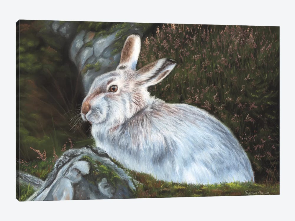 Hare by Richard Macwee 1-piece Canvas Art