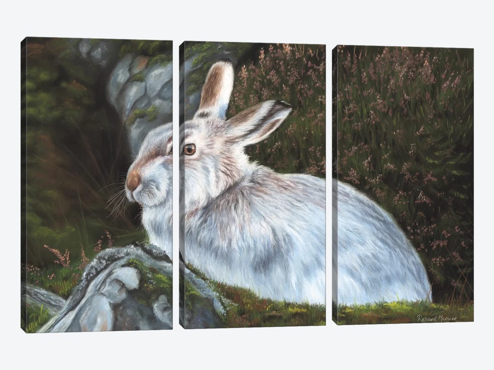 Hare by Richard Macwee 3-piece Canvas Art