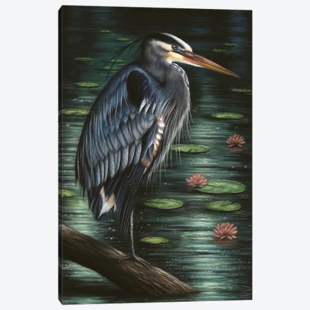 Heron Canvas Print #RMC23} by Richard Macwee Art Print