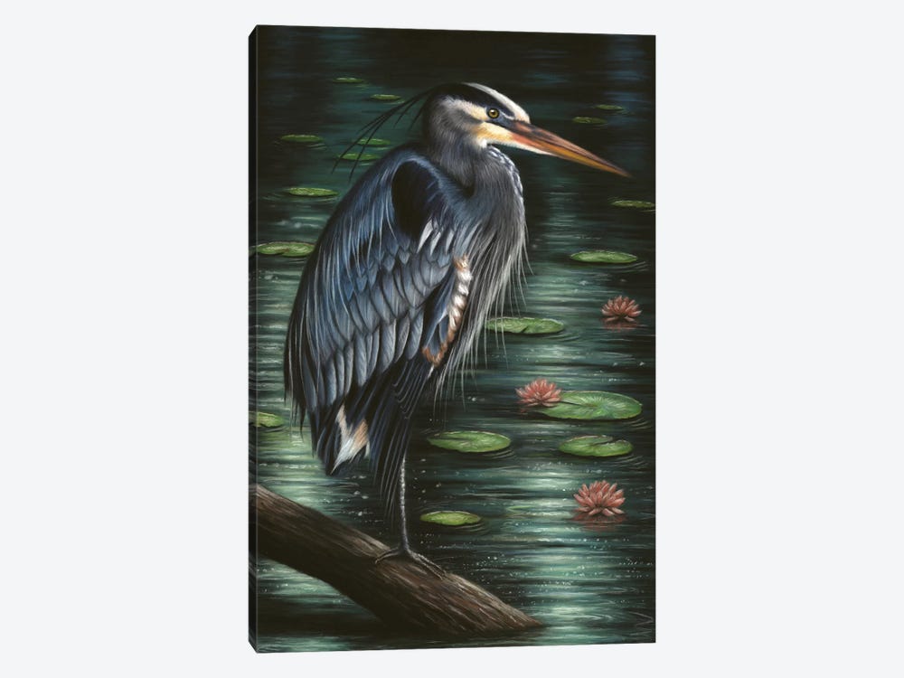 Heron by Richard Macwee 1-piece Canvas Art Print