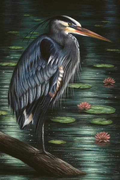 Richard Macwee: Heron by Richard Macwee