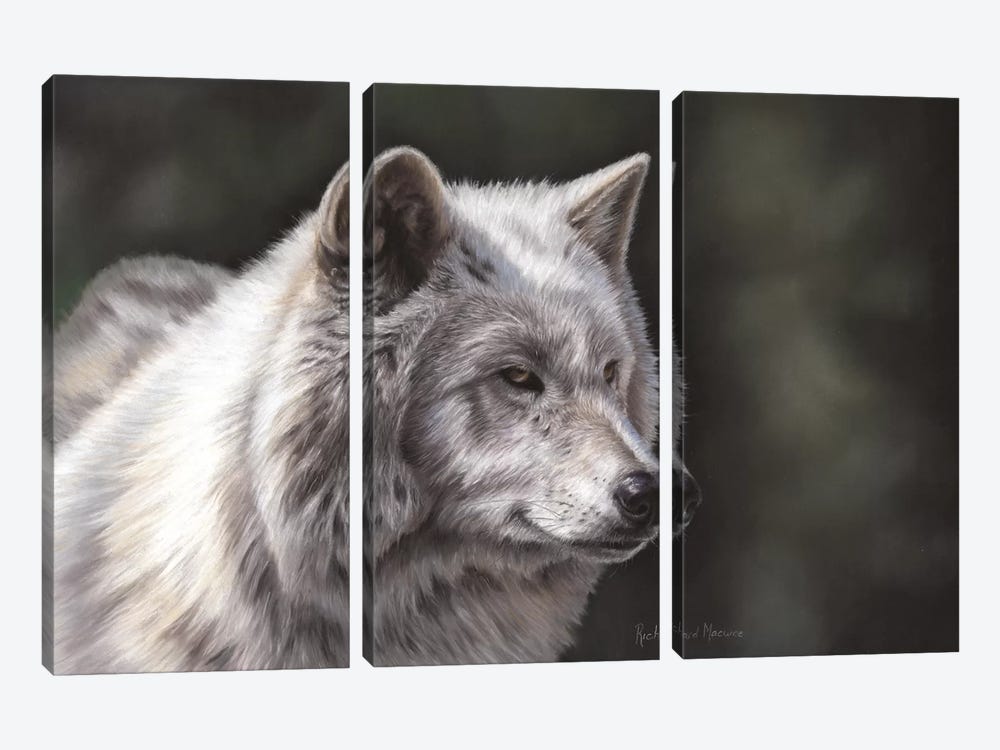 Hudson Bay Wolf by Richard Macwee 3-piece Canvas Art