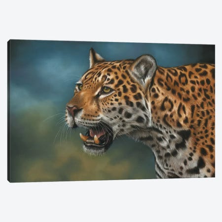 Jaguar Canvas Print #RMC26} by Richard Macwee Canvas Artwork