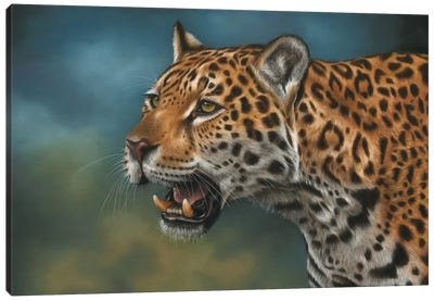 Jaguar Canvas Art Print - Richard Macwee