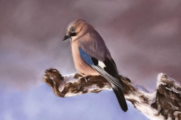Richard Macwee: Jay by Richard Macwee
