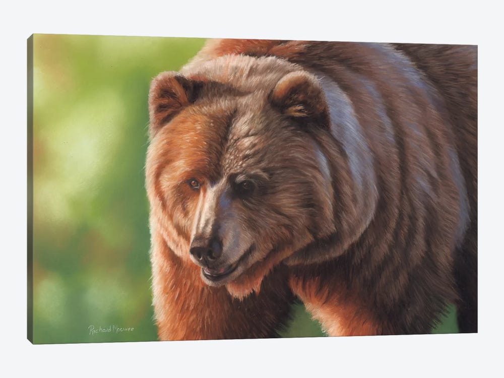 Kodiak Bear by Richard Macwee 1-piece Art Print