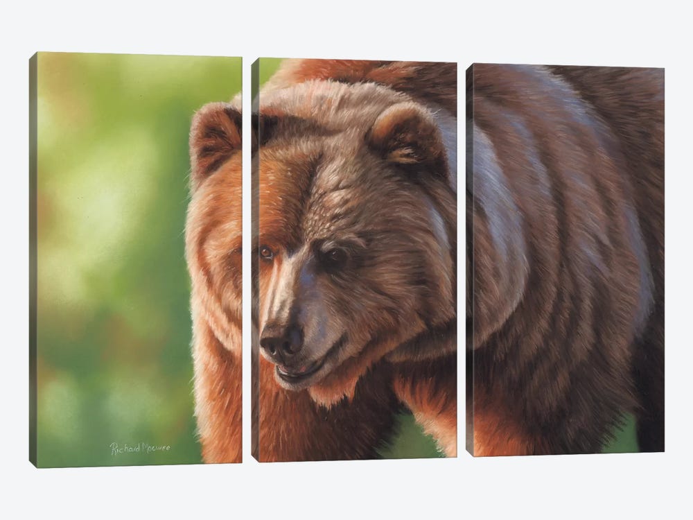 Kodiak Bear by Richard Macwee 3-piece Canvas Art Print