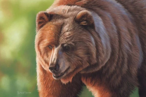 Richard Macwee: Kodiak Bear by Richard Macwee