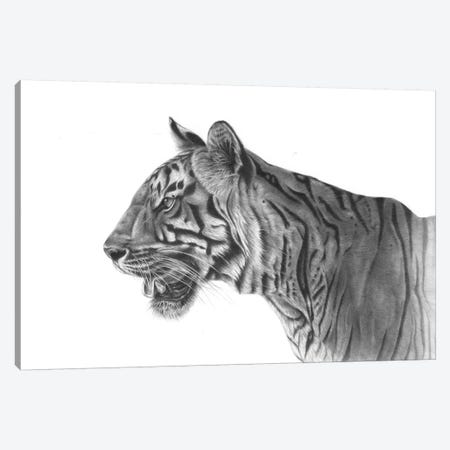 Bengal Tiger Canvas Print #RMC2} by Richard Macwee Canvas Print