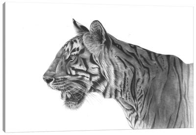 Bengal Tiger Canvas Art Print - Richard Macwee