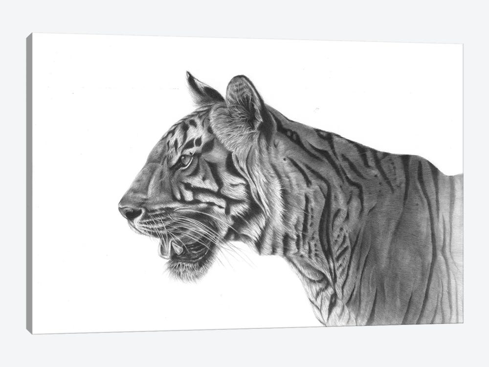 Bengal Tiger by Richard Macwee 1-piece Canvas Art Print