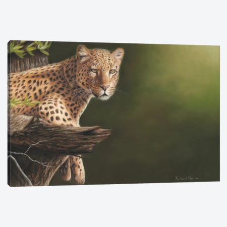 Leopard Canvas Print #RMC31} by Richard Macwee Canvas Art