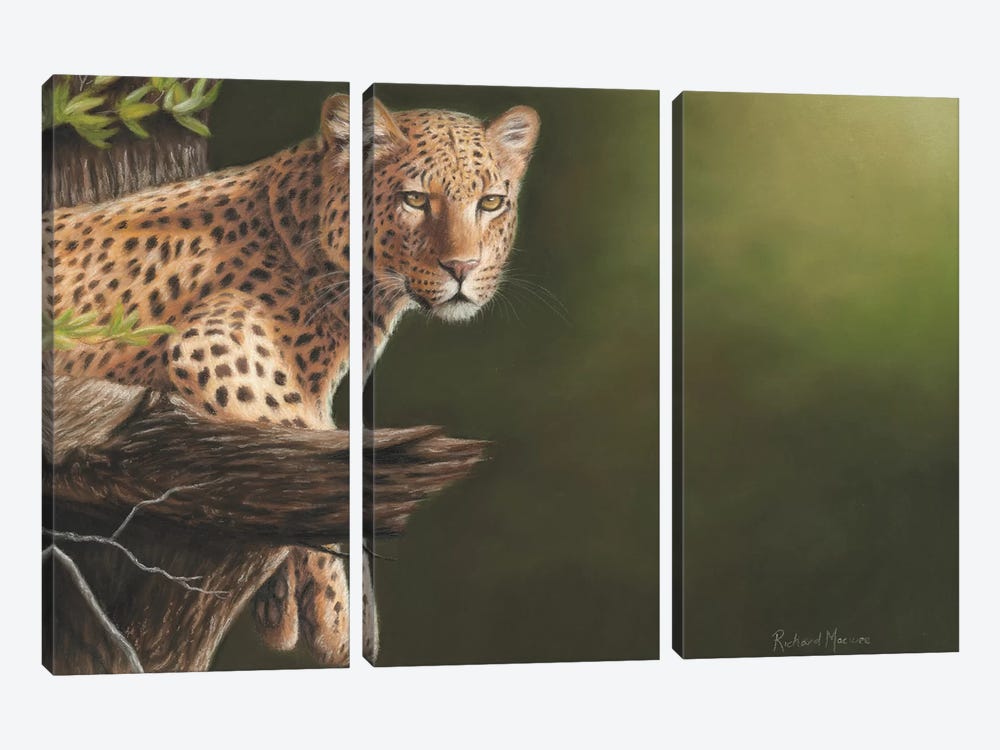 Leopard by Richard Macwee 3-piece Canvas Wall Art