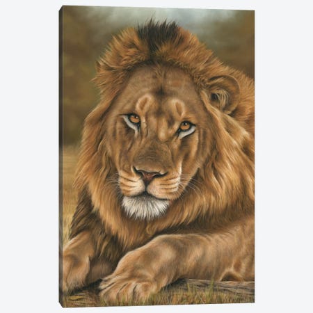 Lion Canvas Print #RMC32} by Richard Macwee Canvas Wall Art