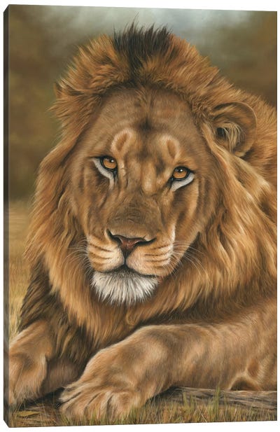 Lion Canvas Art Print - Richard Macwee