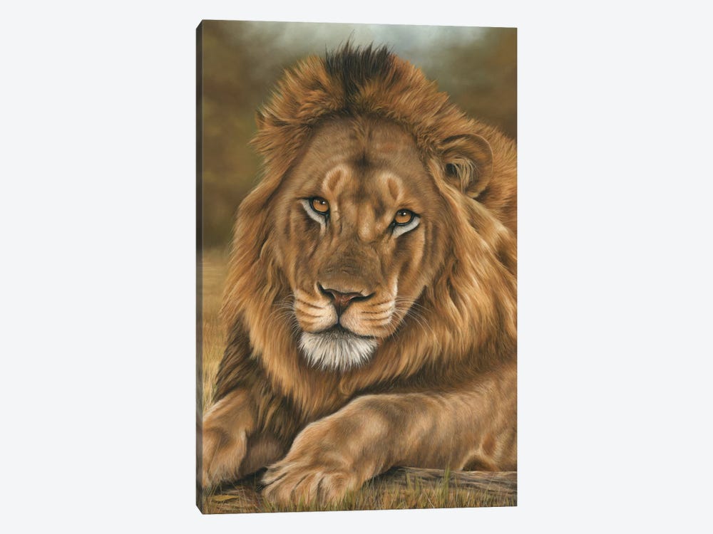 Lion by Richard Macwee 1-piece Canvas Print