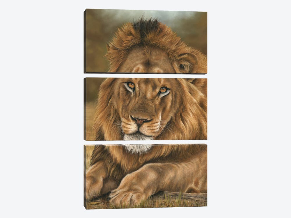 Lion by Richard Macwee 3-piece Art Print