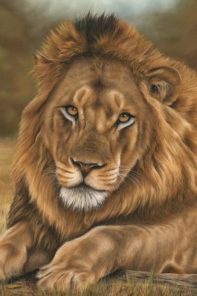 Richard Macwee: Lion by Richard Macwee