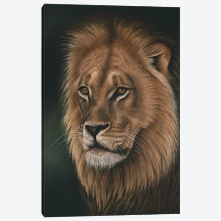 Lion Portrait Canvas Print #RMC33} by Richard Macwee Canvas Wall Art
