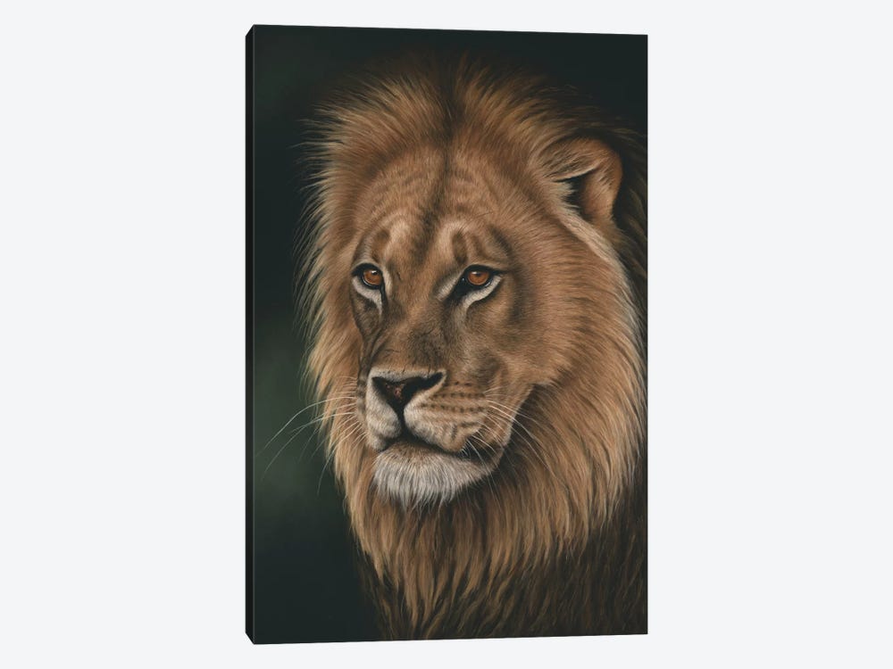 Lion Portrait by Richard Macwee 1-piece Canvas Wall Art
