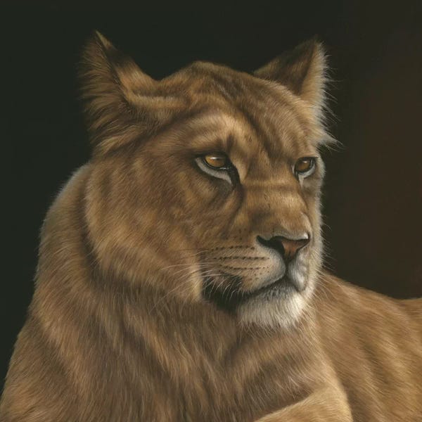 Richard Macwee: Lioness by Richard Macwee