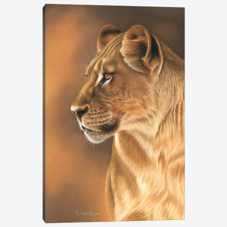 Lioness Portrait Canvas Print #RMC35} by Richard Macwee Art Print