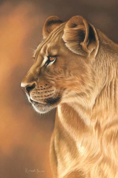 Animal Lover: Lioness Portrait by Richard Macwee