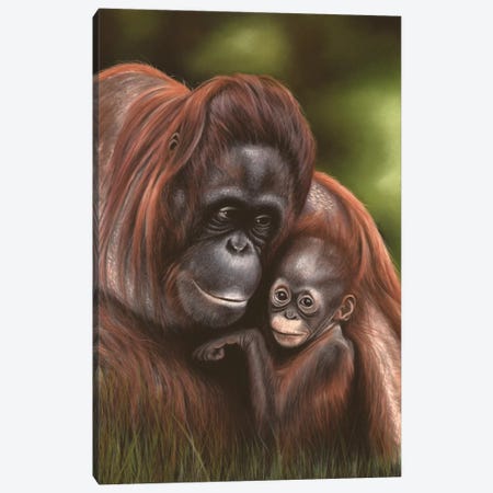 Orangutan Canvas Print #RMC36} by Richard Macwee Art Print