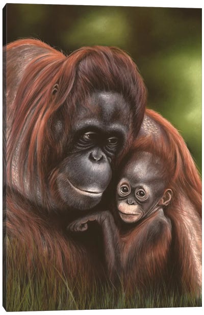 Orangutan Canvas Art Print - Richard Macwee