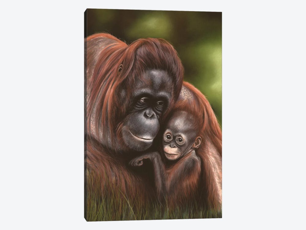 Orangutan by Richard Macwee 1-piece Art Print