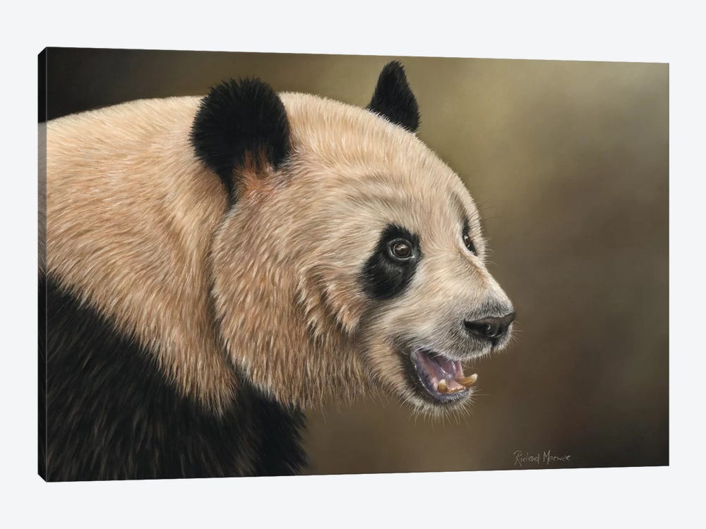 Panda by Richard Macwee 1-piece Canvas Artwork